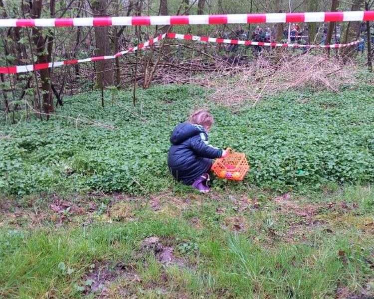 Grote opkomst bij paaseieren zoeken