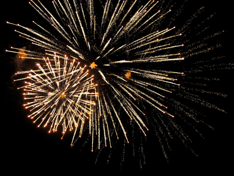 De jaarwisseling is, op enkele meldingen na, rustig verlopen in de gemeente Dronten.