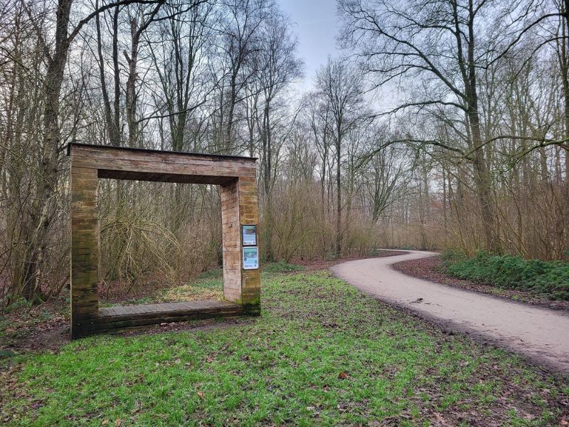 Vrijwilligers gezocht voor een groenere toekomst van het Wisentbos