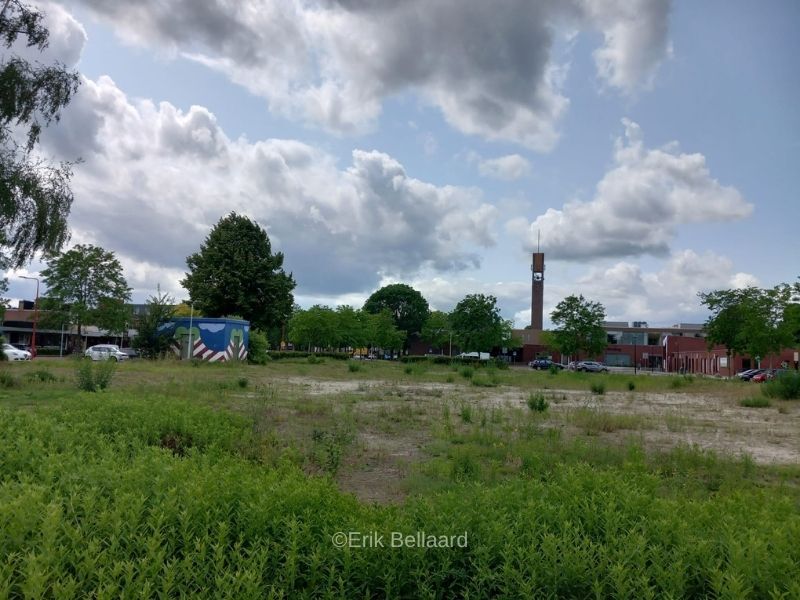 Plan voor grootste zandbak van Flevoland 