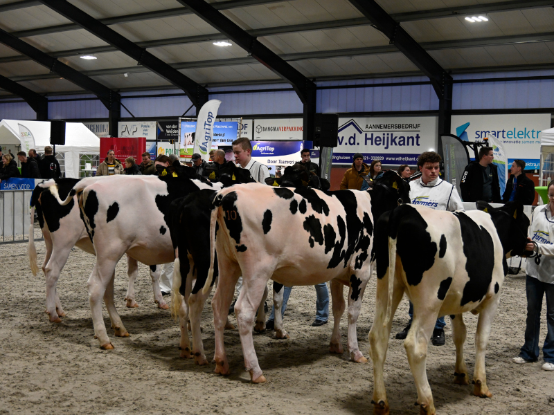 20250304 koeienkeuring 2