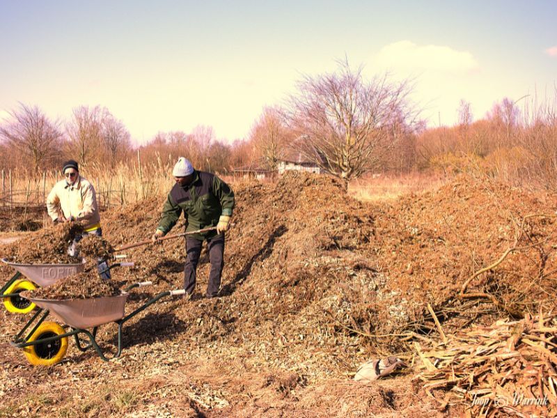 20250315 nl doet roggebotstaete 3