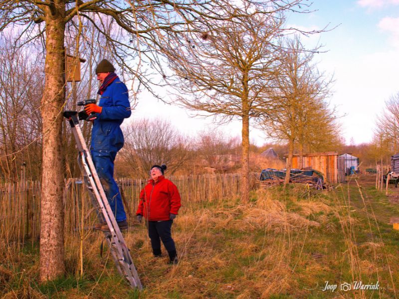 20250315 nl odet roggebotstaete 4
