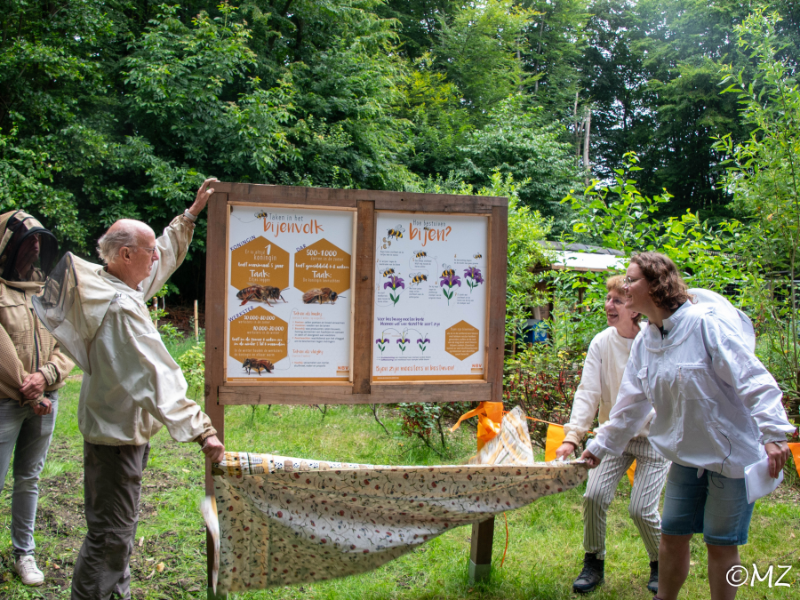 Opening Bijenvoedselbos Dronten: groene plek voor mens en insect