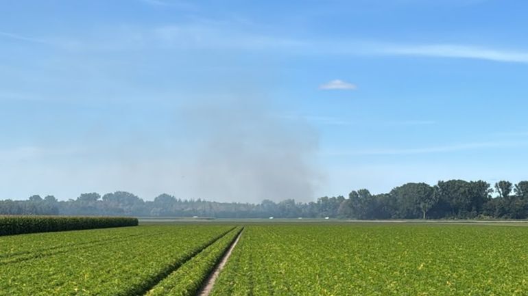 Brand in bos aan de Roggebotweg onder controle