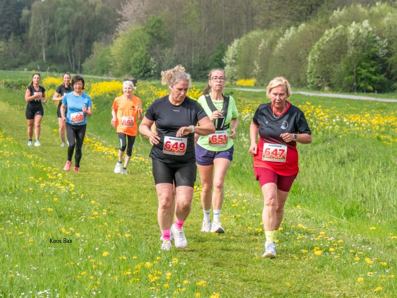 Lopen tussen de kleuren van de lente