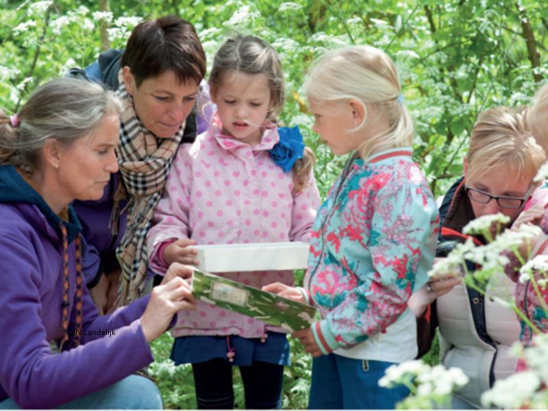 Toenemende belangstelling voor natuuractiviteiten leidt tot nieuwe cursus bij IVN Dronten