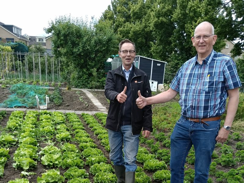 Eerste oogst van volkstuinen voor voedselbank Dronten