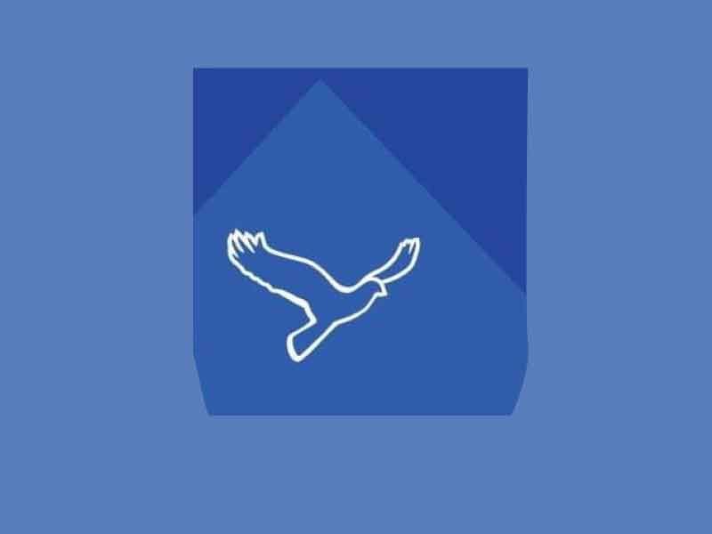 Logo Flevopanel op blauwe achtergrond