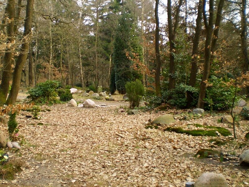 Een foto van een natuurbegraafplaats in Assel, middenin een bos.